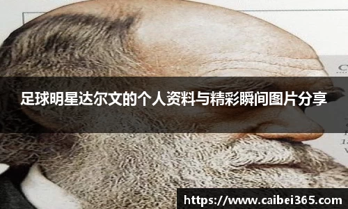 足球明星达尔文的个人资料与精彩瞬间图片分享
